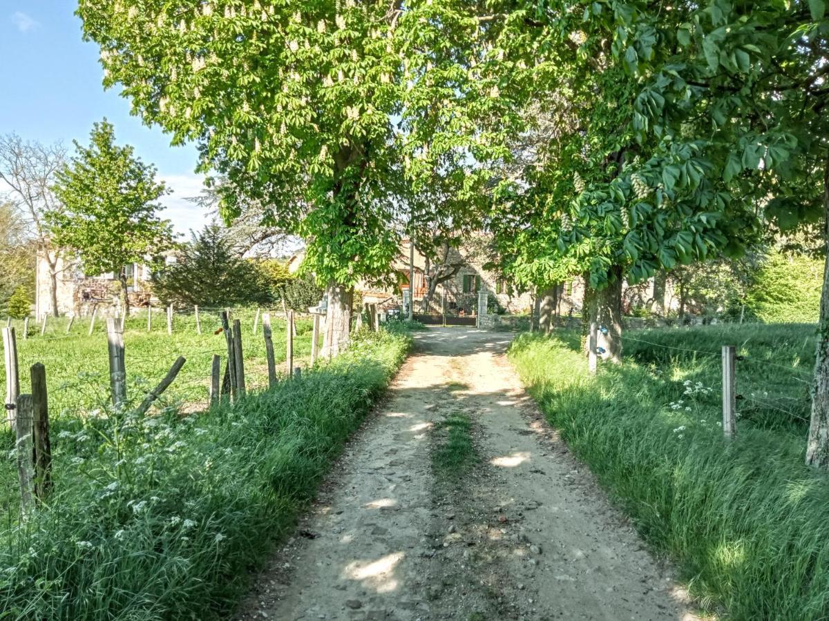 "La Voute De Pierre" Gite Independant Saint-Cyr  エクステリア 写真