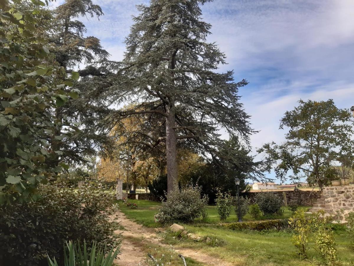 "La Voute De Pierre" Gite Independant Saint-Cyr  エクステリア 写真