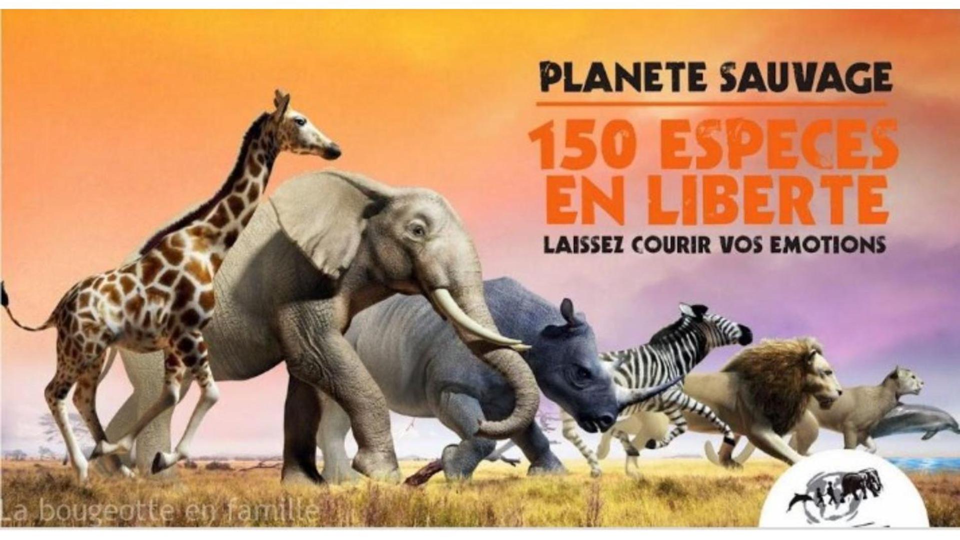 "La Voute De Pierre" Gite Independant Saint-Cyr  エクステリア 写真